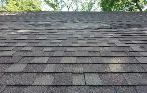 Shingles